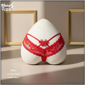 بانتى فاتله افضل سعر أندرات في مصر - شوب اب اون لاين 2026